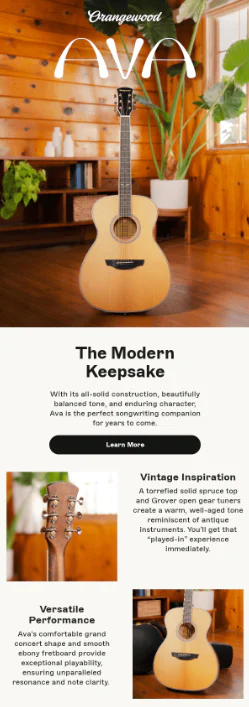 15. Orangewood Guitars（ギター）