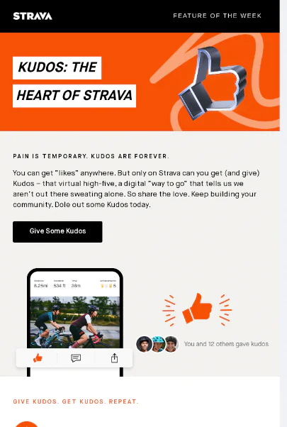 13. Strava（アクティビティログ）